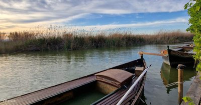 알부페라 자연 공원(파르크 나투랄 데 랄부페라)